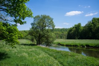 20120514_mistlau_003