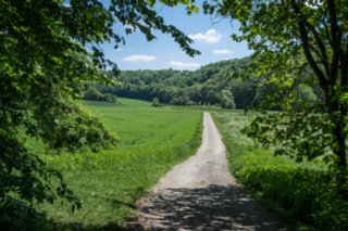 20120514_mistlau_008