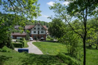 20120514_mistlau_010