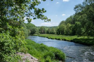 20120514_mistlau_015
