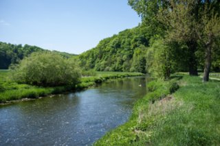 20120514_mistlau_016