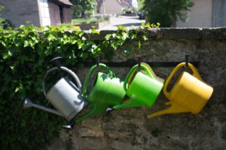 20120514_mistlau_025