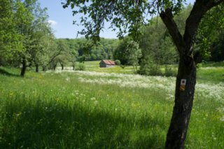 20120514_mistlau_077