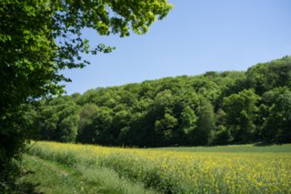 20120514_mistlau_104
