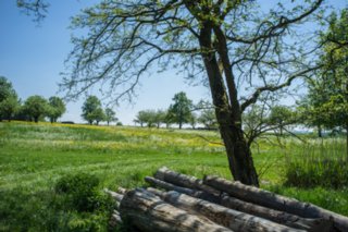 20120514_mistlau_112