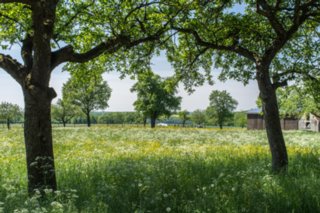 20120514_mistlau_115
