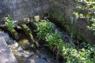 20120514_mistlau_118