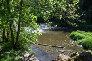 20120514_mistlau_119