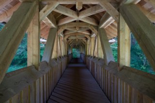 20120514_mistlau_123