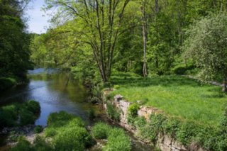 20120514_mistlau_125