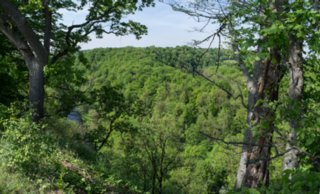 20120514_mistlau_137-Bearbeitet-2