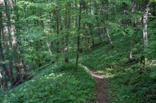 20120514_mistlau_143