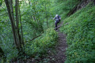 20120514_mistlau_150