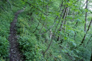 20120514_mistlau_151