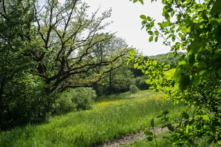20120514_mistlau_159