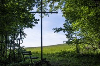 20120514_mistlau_161