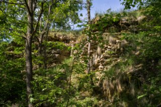 20120514_mistlau_162