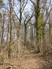 20110308_schoental_037
