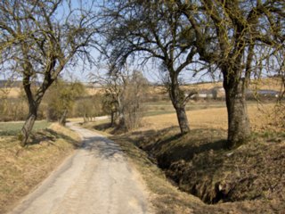 20110308_schoental_045