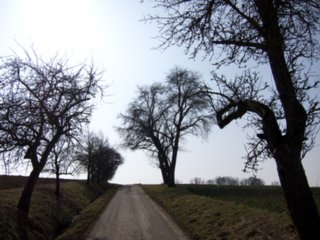 20110308_schoental_047