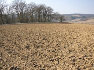20110308_schoental_049