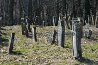 20110308_schoental_060