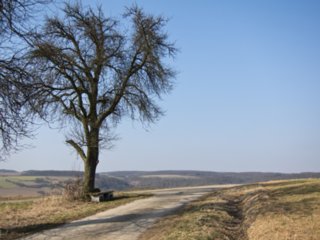20110308_schoental_135