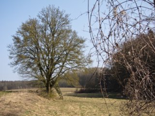 20110308_schoental_143