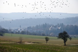 20110308_schoental_149