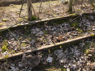 20110308_schoental_190