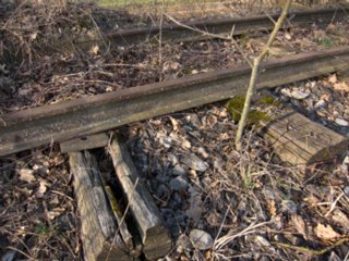 20110308_schoental_195