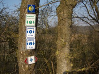 20110308_schoental_202