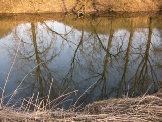 20110308_schoental_227