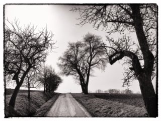 20110308_schoental_047-bearb-bw
