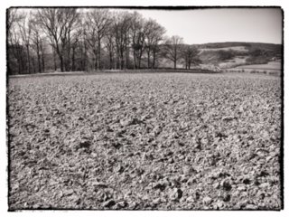 20110308_schoental_049-bearb-bw