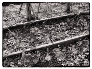 20110308_schoental_190-bearb-bw