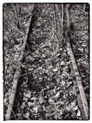 20110308_schoental_192-bearb-bw