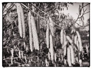 20110308_schoental_196-bearb-bw