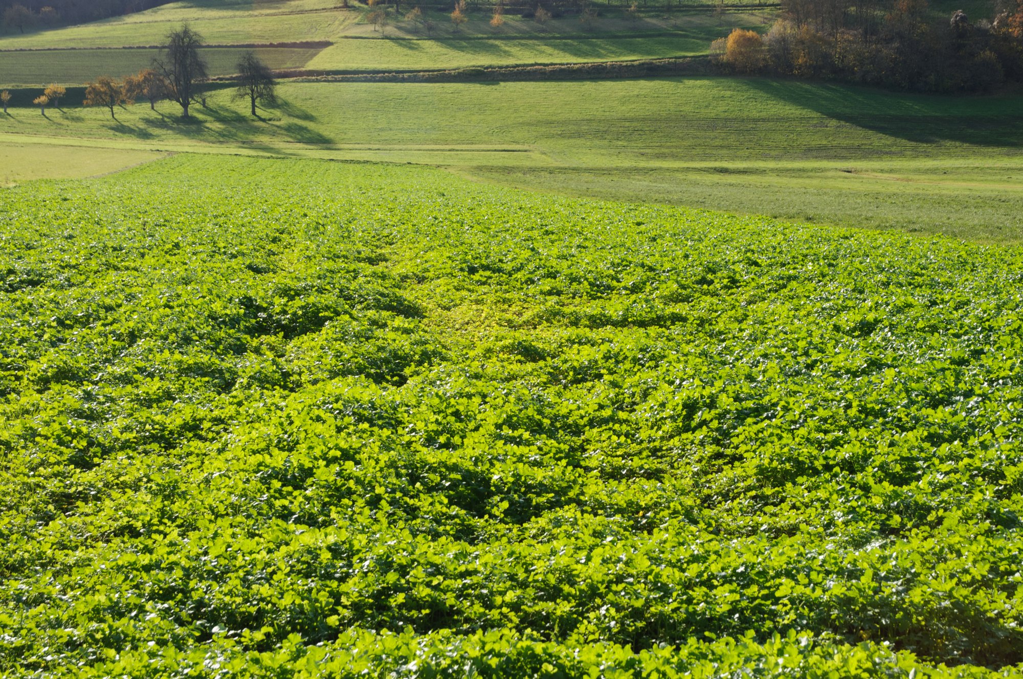 Jagst und Panoramablicke 
