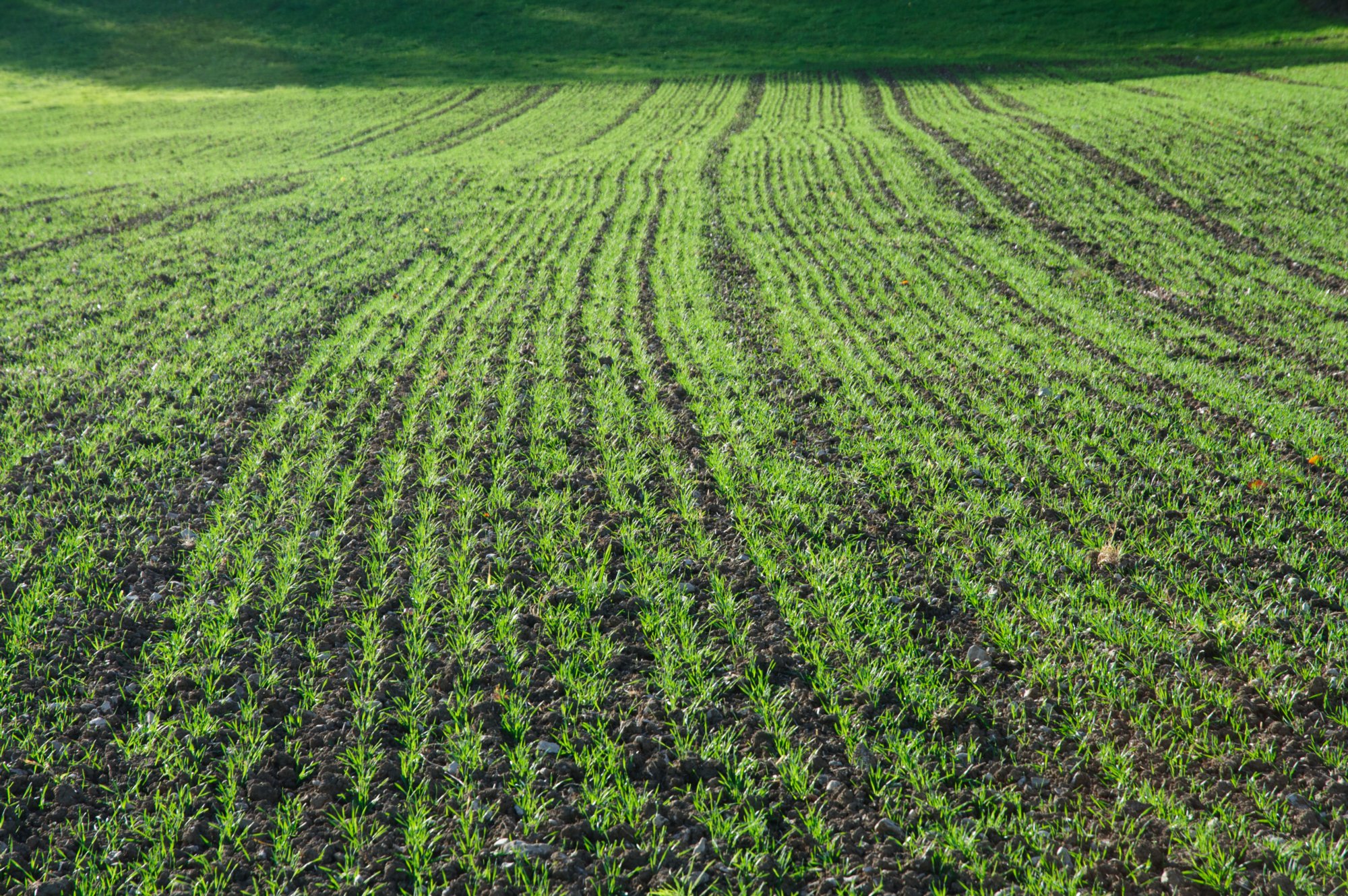 Jagst und Panoramablicke 