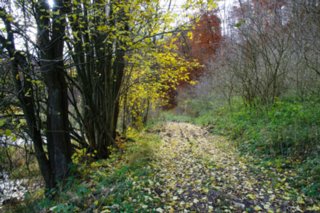 20101105_jagsttal_025