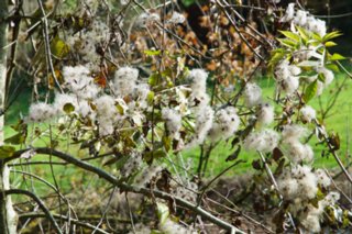 20101105_jagsttal_054