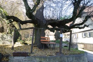 20101105_jagsttal_237