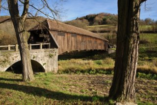 20101105_jagsttal_247