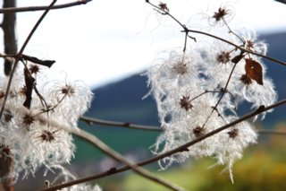 20101105_jagsttal_292