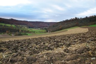 20101105_jagsttal_329