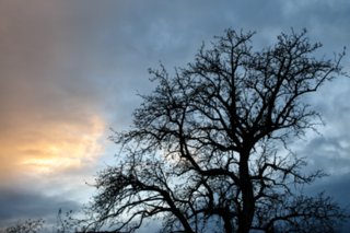 20101105_jagsttal_345