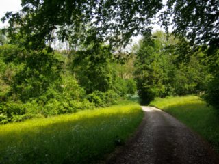 20110523_unterregenbach_010