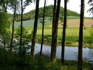 20110523_unterregenbach_013