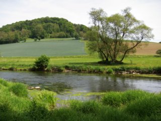 20110523_unterregenbach_014